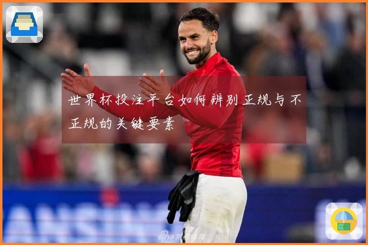 世界杯投注平台如何辨别正规与不正规的关键要素