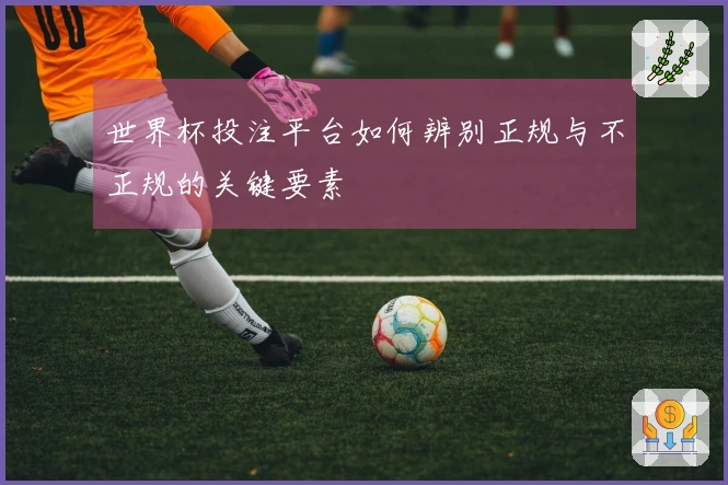 世界杯投注平台如何辨别正规与不正规的关键要素