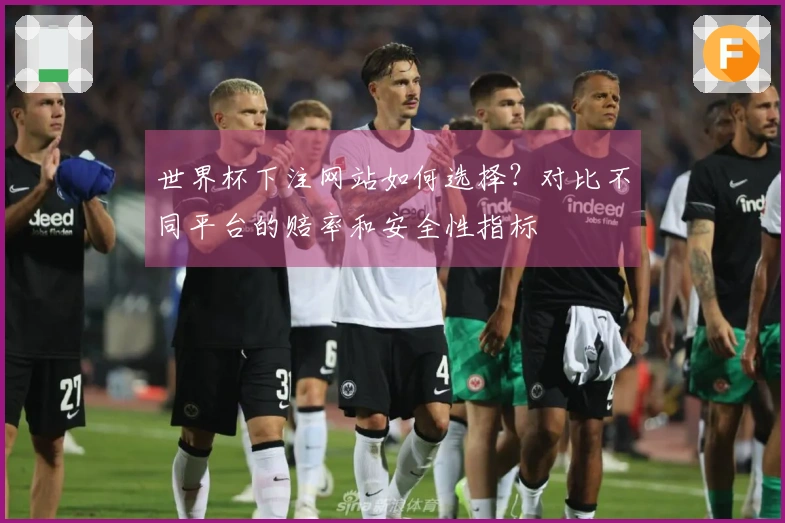世界杯下注网站如何选择？对比不同平台的赔率和安全性指标