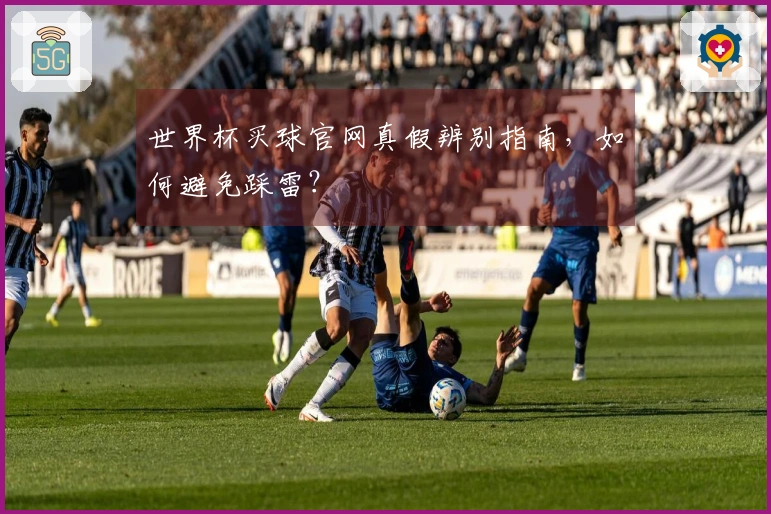 世界杯买球官网真假辨别指南，如何避免踩雷？