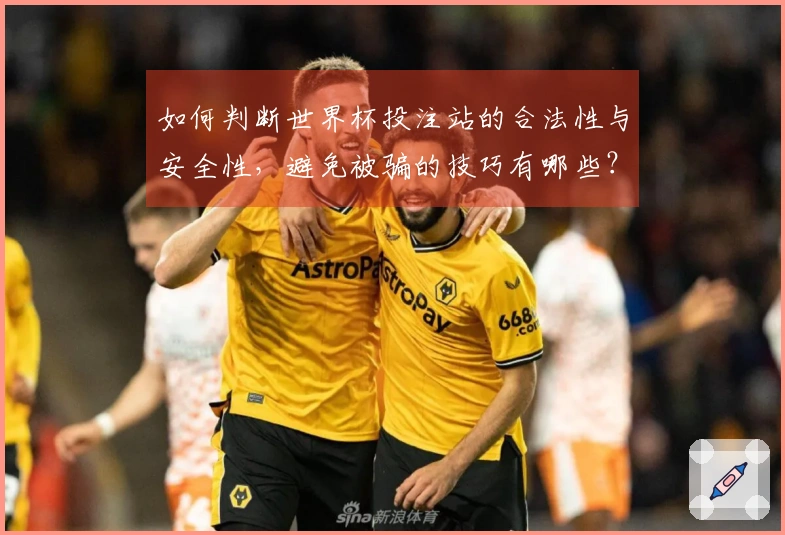 如何判断世界杯投注站的合法性与安全性，避免被骗的技巧有哪些？