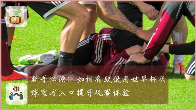 新手必读：如何有效使用世界杯买球官方入口提升观赛体验