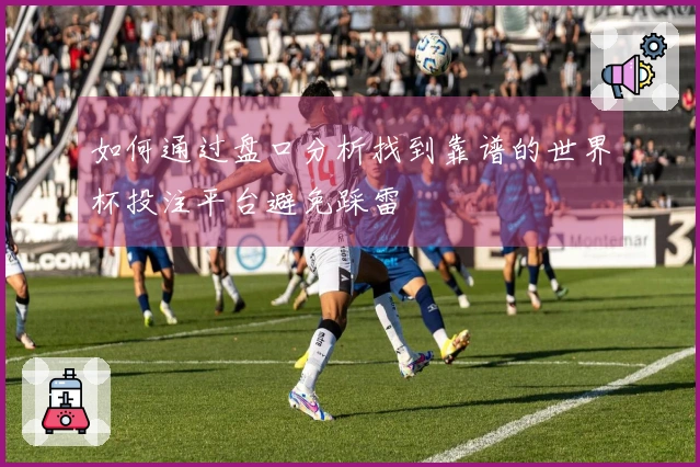 如何通过盘口分析找到靠谱的世界杯投注平台避免踩雷