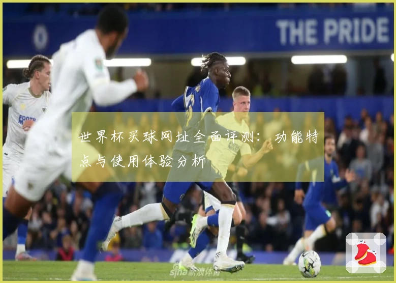 世界杯买球网址全面评测：功能特点与使用体验分析
