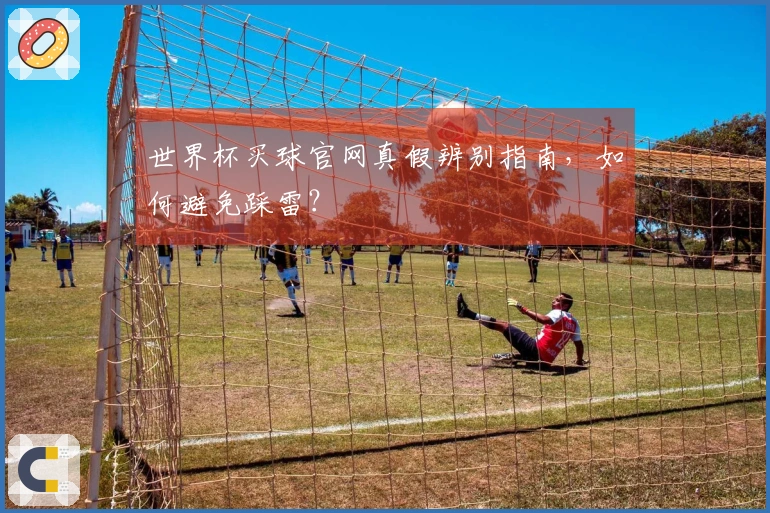 世界杯买球官网真假辨别指南,如何避免踩雷?