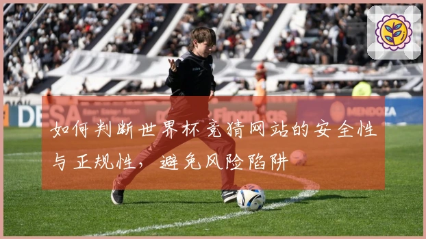 如何判断世界杯竞猜网站的安全性与正规性,避免风险陷阱