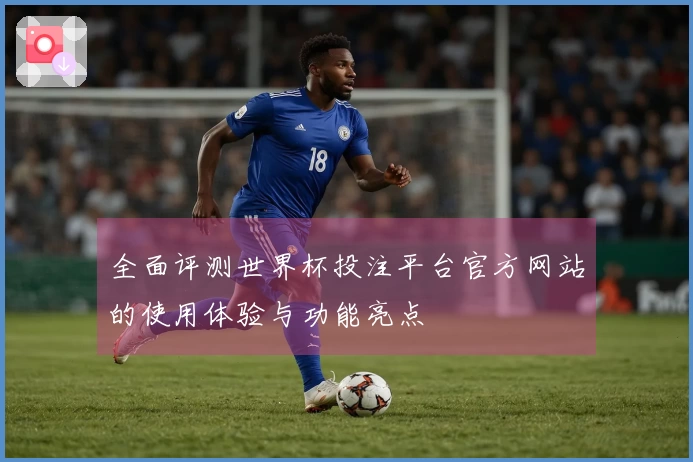 全面评测世界杯投注平台官方网站的使用体验与功能亮点