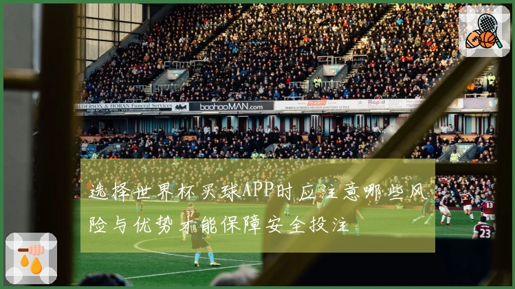 选择世界杯买球APP时应注意哪些风险与优势才能保障安全投注
