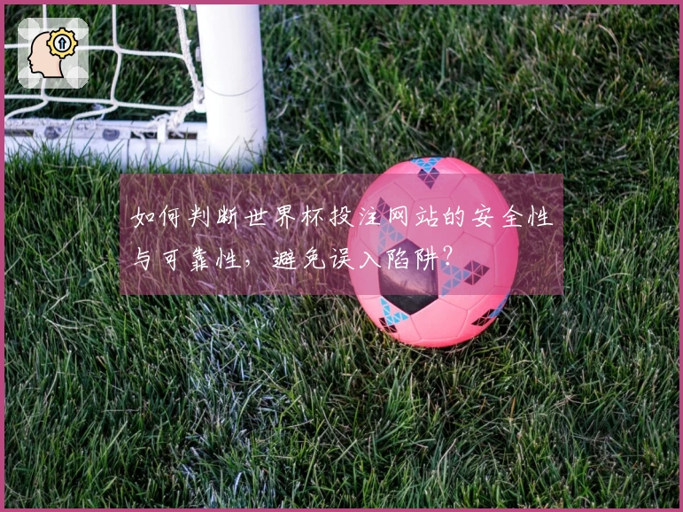 如何判断世界杯投注网站的安全性与可靠性，避免误入陷阱？